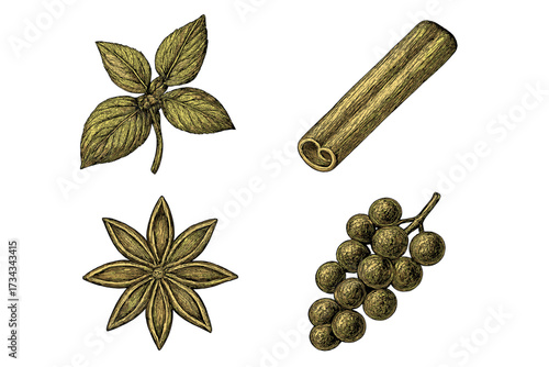 Aromatic culinary herbs and spices collection featuring fresh basil leaves, a cinnamon stick, star anise, and a cluster of peppercorns