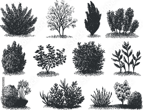 A collection of hand-drawn shrubs and bushes illustrating various plant forms and textures..