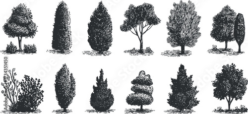Collection of hand-drawn tree silhouettes showcasing various types and styles for artistic use..