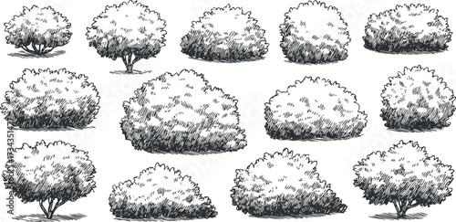 A collection of hand-drawn bushes and shrubs showcasing various shapes and sizes for artistic use..