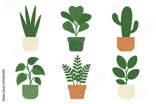 Diverse green potted houseplants for modern interior decoration and home gardening
