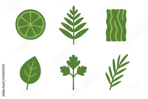 Stylized collection of green culinary herbs, fresh produce, and aromatic spices for healthy cooking and food preparation