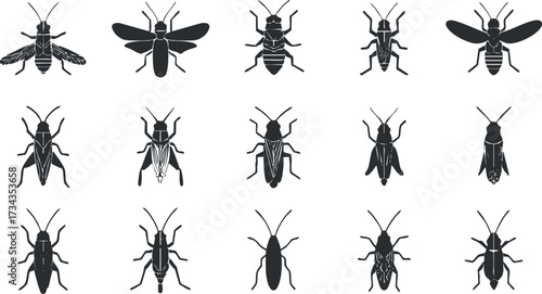 A collection of stylized insect silhouettes suitable for various graphic design projects..