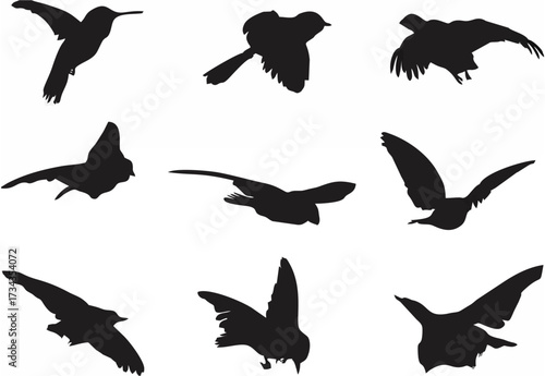 Assorted flying birds.eps