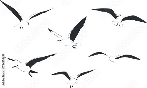 A dynamic illustration of flying birds in various poses against a simple background..