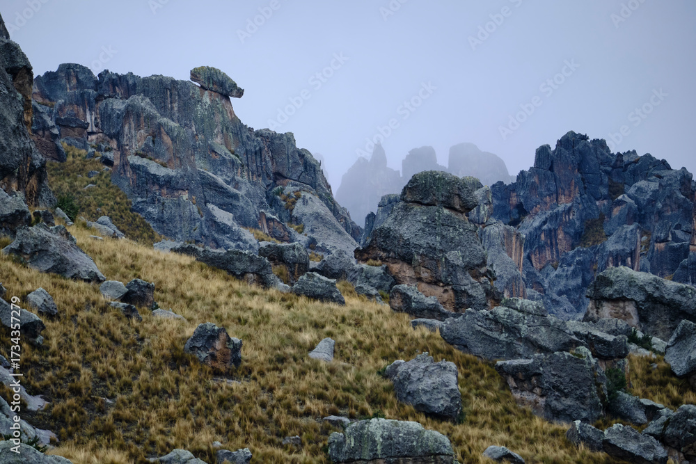Fototapeta premium beautiful tourist view of the Huayllay stone forest
