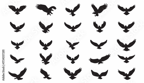Clip art of birds of prey in ...