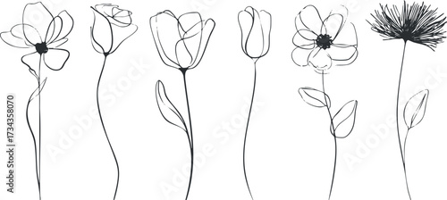 A collection of elegant line art flowers showcasing various floral designs in minimalist style..