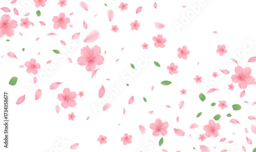 background design featuring pink cherry blossom Sakura flowers and floating petals. The flowers are realistic with soft shadows, scattered randomly across a pure white background. small green leaves