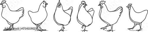 A series of line drawings depicting various poses of chickens on a farm..