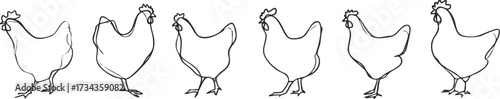 A series of outlined sketches depicting various poses of chickens in a minimalist style..