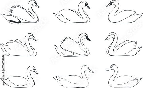 Artistic line drawings of swans showcasing their elegance and graceful forms in various poses..