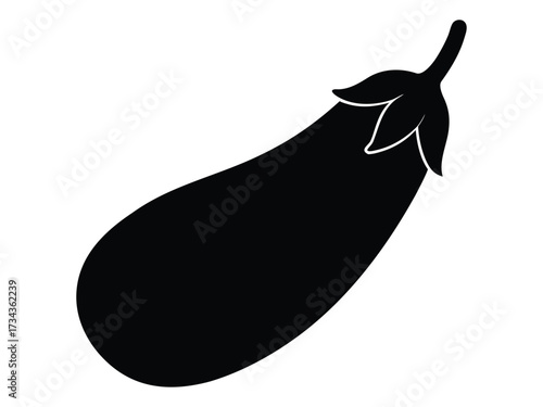 Fresh, healthy, natural eggplant vector illustration food object on white isolated background