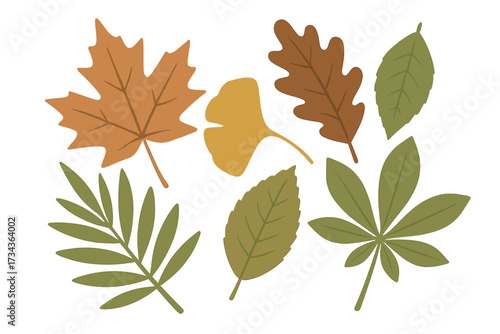 Diverse collection of stylized autumn and green leaves representing various tree species and natural foliage