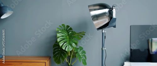 Wallpaper Mural Desk lamp and Studio lamp with monstera plant with a dark background in minimal room Torontodigital.ca