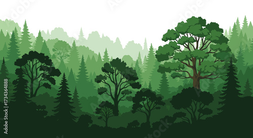 A vibrant and lush forest landscape with diverse trees reaching towards the sky.