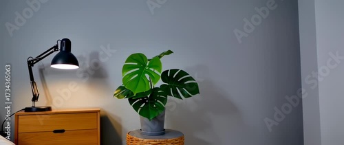 Wallpaper Mural Serene bedroom scene featuring a monstera plant, a lamp, and a minimalist modern bedside cabinet Torontodigital.ca