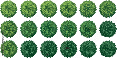Bush top view, green foliage, stylized shrub, nature texture, landscape design, vector vegetation, garden layout, digital illustration, plant icon, botanical element