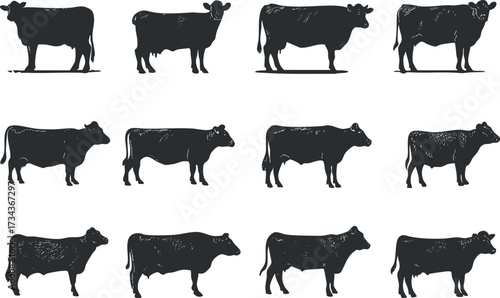 Collection of black silhouette cows in various poses suitable for agricultural themes..