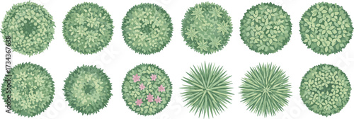 Top view bush icons, stylized foliage set, garden shrub textures, landscape design elements, botanical illustration pack, circular greenery symbols, nature planning reference