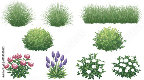 Stylized plant top view, flowering bushes, grassy foliage, garden layout, botanical illustration, nature texture, landscape design, vector vegetation, greenery elements, digital shrub