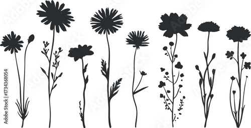 Silhouette of various flowers showcasing their unique shapes and forms for decorative purposes..