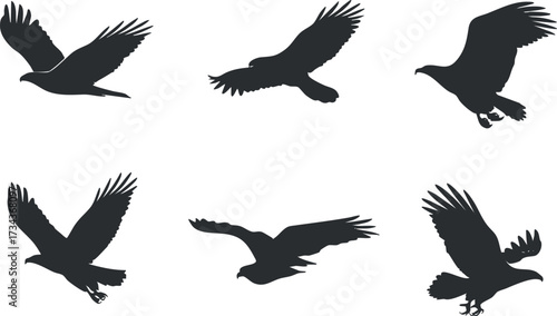 Collection of bird silhouettes in flight showcasing various species such as hawks and eagles..