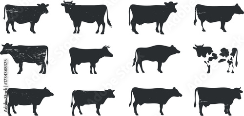 Collection of cow silhouettes in various poses ideal for agricultural and farming design..
