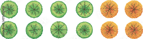 Tree top view, circular foliage, stylized canopy, green and orange trees, landscape design, vector vegetation, seasonal texture, nature symbols, garden planning, illustration