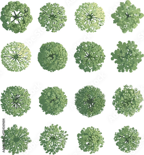 Tree top view, green canopy, stylized foliage, vector trees, landscape design, nature texture, garden planning, architectural symbols, ecological layout, leaf illustration