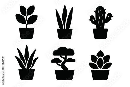 Stylized collection of diverse potted house plants and succulents for indoor decoration and gardening themes