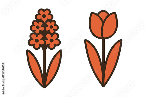 Vibrant stylized spring flowers with a blooming hyacinth and a closed tulip blossom, presented in a clean graphic style