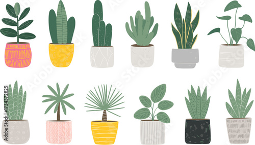 Hand drawn indoor houseplants in colorful pots, botanical clipart, potted plant collection, modern home decor, flat vector illustration