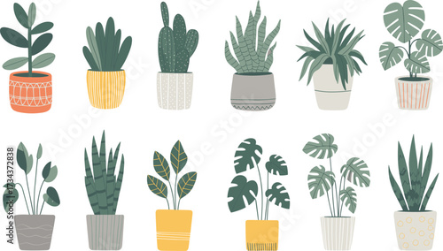 Hand drawn indoor houseplants in colorful pots, botanical clipart, potted plant collection, modern home decor, flat vector illustration