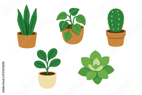 Assortment of diverse potted houseplants and succulents with a modern flat graphic design on a white background