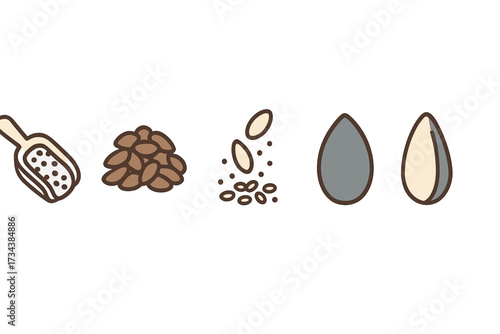 Assortment of seeds in various forms, featuring a scoop, a pile, falling seeds, and individual shelled and unshelled seeds