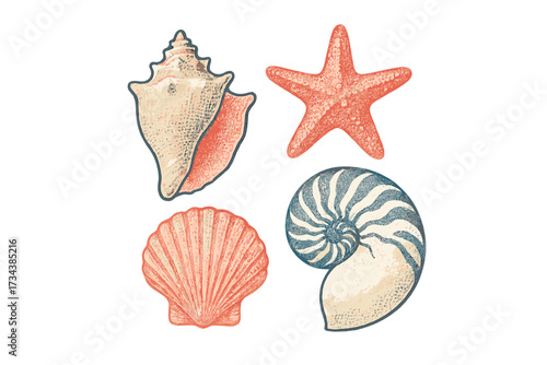 Beautiful collection of diverse marine life elements featuring conch, scallop, and nautilus shells alongside a vibrant starfish