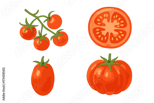 Fresh ripe red tomatoes in various shapes and sizes, including whole, sliced, and cherry varieties on a vine