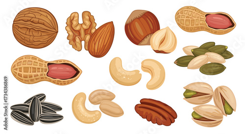 A delightful collection of assorted nuts and seeds for healthy snacking.