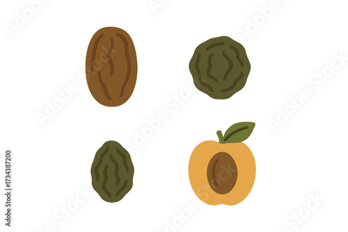 Selection of healthy dried fruits like dates and prunes presented with a juicy fresh apricot half