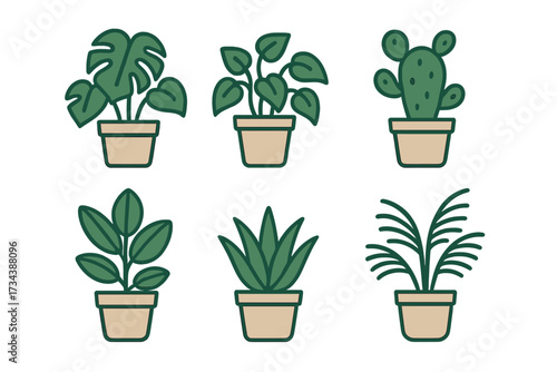 Assortment of diverse green potted houseplants and succulents for interior decoration and home gardening