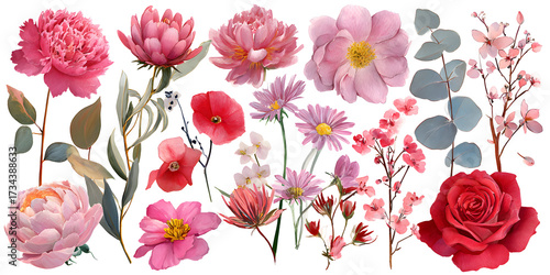 Botanical pink flower set with leaves and blossoms, floral collection watercolor illustration isolated on transparent background for decor

