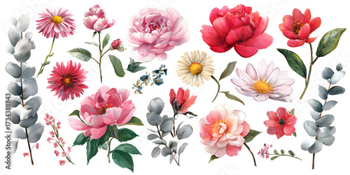 Botanical pink flower set with leaves and blossoms, floral collection watercolor illustration isolated on transparent background for decor

