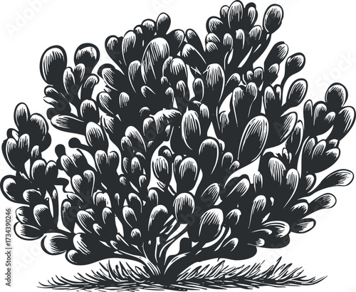A detailed illustration of a bush with stylized leaves and branches..