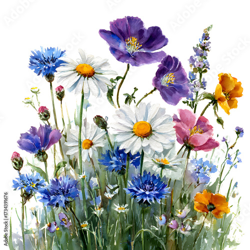 Blooming wildflower field with purple, blue, and white flowers, watercolor painting isolated on transparent background for decor and design

