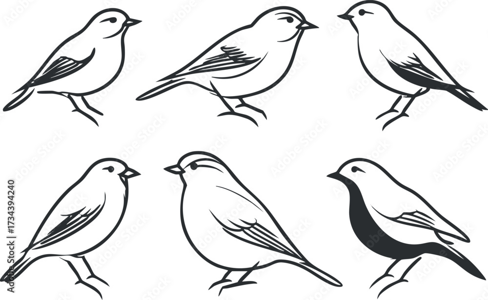 Fototapeta premium Stylized black and white line art of various birds in different poses and expressions.
