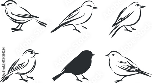 A collection of stylized black and white bird illustrations showcasing various small bird species..