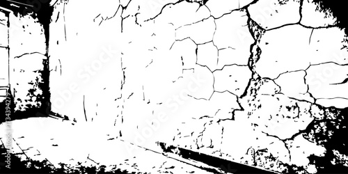 Cracked wall texture in high contrast black and white, perfect for grunge backgrounds, decay effects, or aged urban design references.
