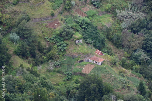 Wallpaper Mural Casa no meio da naturaza, ilha da Madeira em Machico na ilha da Madeira em Portugal Torontodigital.ca