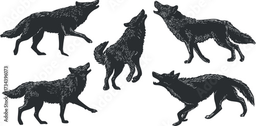 Illustration of five stylized wolves in various poses showcasing their agility and wild nature..